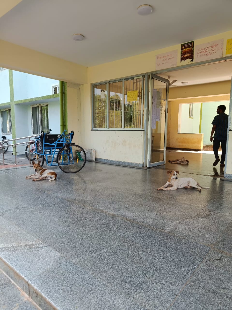 Birsa Munda Hostel Dogs