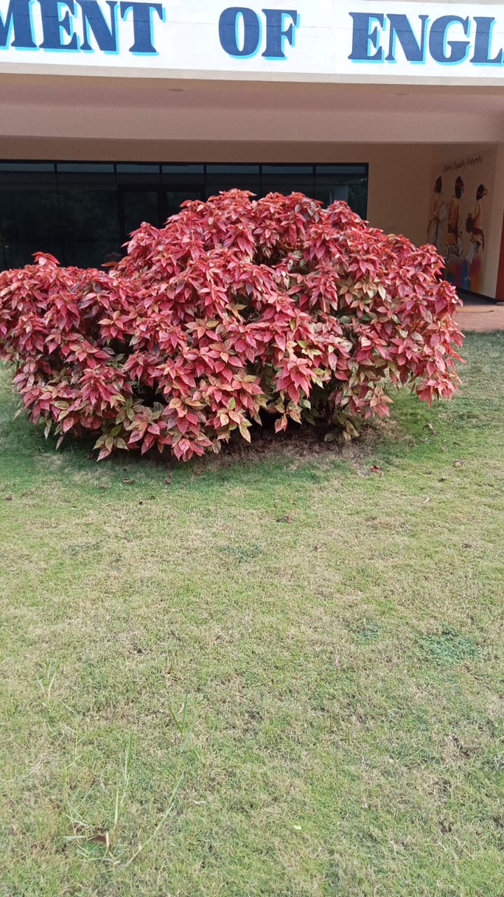 Copper Leaf